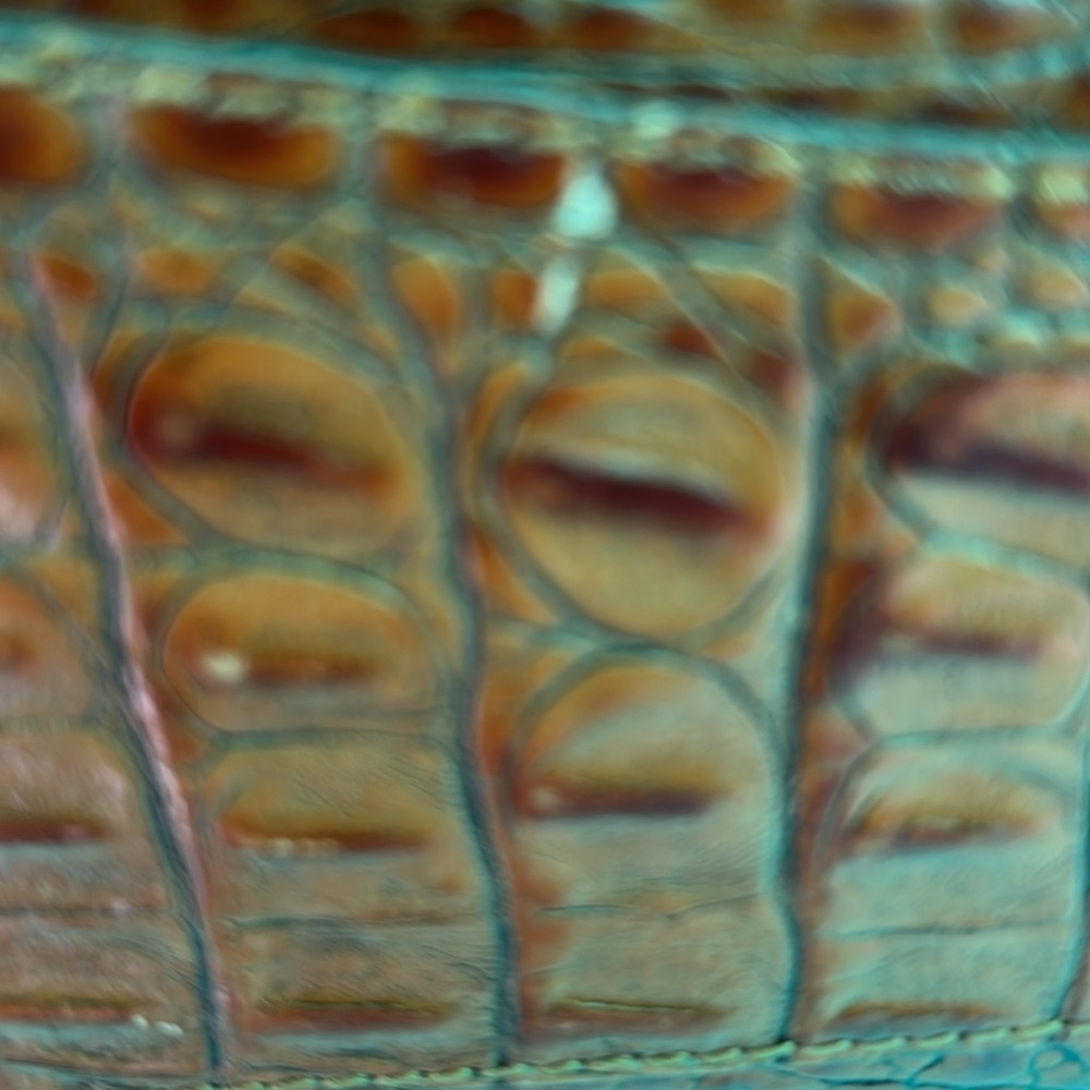 Vintage Brahmin toasted almond /cream Sophie bag. leather, alligator 🐊 print. - Picture 12 of 12